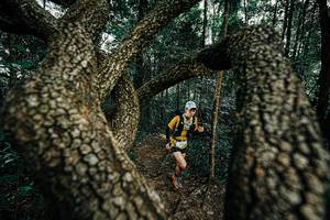 BIB: 
                            <button type="button" onclick="openModal(25392955)" class="btn btn-primary btn-sm float-right btn-popup" data-toggle="modal" data-target=".modal-high-quality">
                        <i class="fas fa-shopping-cart"></i> Add to Cart
                    </button>
                                            <button type="button" onclick="isThisMe(25392955, true)" class="btn btn-success btn-sm float-right btn-popup btn-isme hidden" data-toggle="tooltip" data-placement="bottom" title="นี่คือรูปของคุณใช่ไหม คลิกที่นี่เพื่อเอาเข้าอัลบั้ม">
                        <i class="fas fa-plus"></i> Add to album
                    </button>
                    <button type="button" onclick="isThisMe(25392955, false)" class="btn btn-warning btn-sm float-right btn-popup btn-isnotme hidden">
                        <i class="fas fa-ban"></i> Remove from album
                    </button>